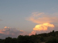 Nature Sauvage
